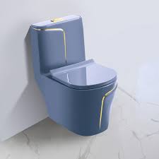 Western Toilet